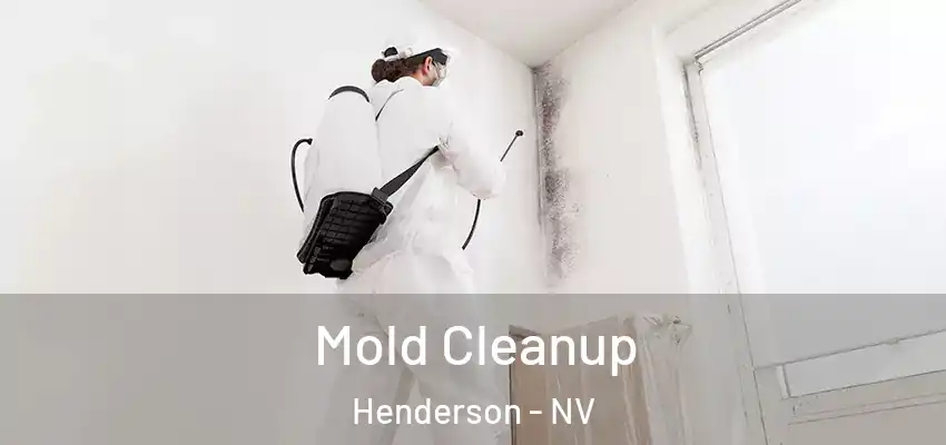  Mold Cleanup Henderson - NV