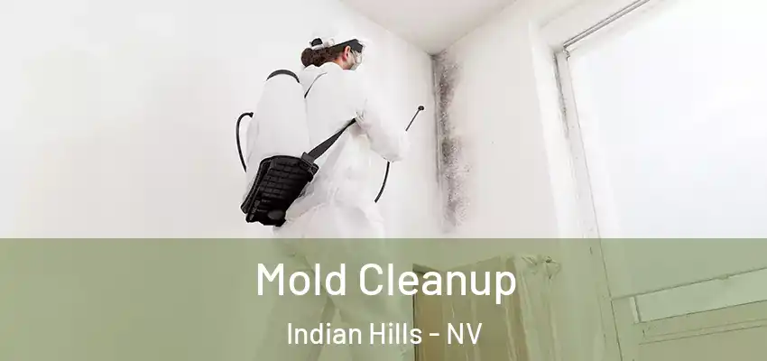  Mold Cleanup Indian Hills - NV