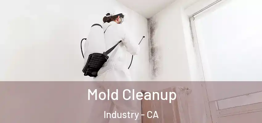  Mold Cleanup Industry - CA