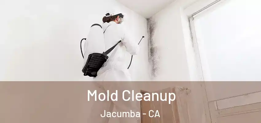  Mold Cleanup Jacumba - CA