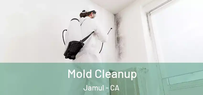  Mold Cleanup Jamul - CA