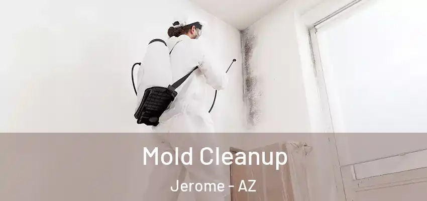  Mold Cleanup Jerome - AZ