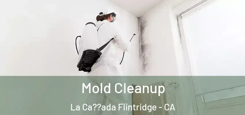  Mold Cleanup La Ca??ada Flintridge - CA