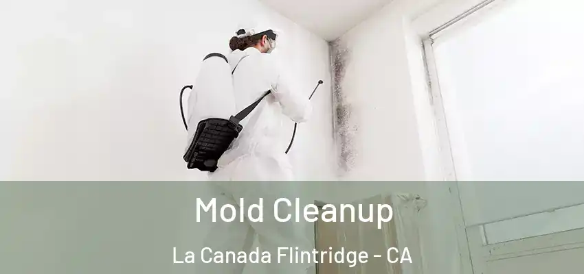 Mold Cleanup La Canada Flintridge - CA