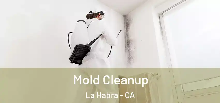  Mold Cleanup La Habra - CA