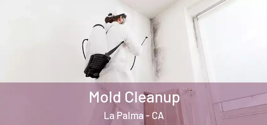 Mold Cleanup La Palma - CA