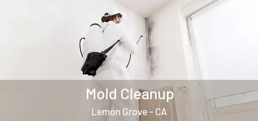  Mold Cleanup Lemon Grove - CA