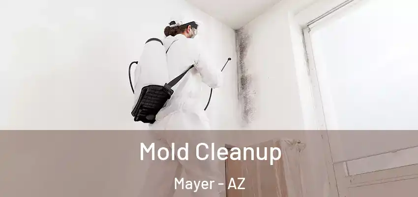  Mold Cleanup Mayer - AZ