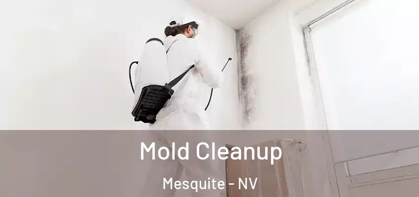  Mold Cleanup Mesquite - NV