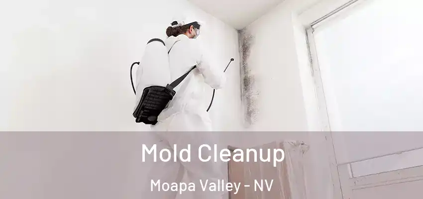  Mold Cleanup Moapa Valley - NV
