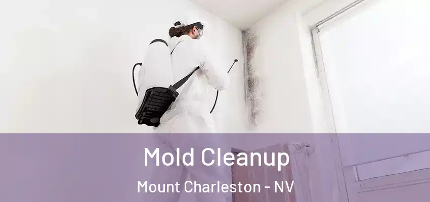  Mold Cleanup Mount Charleston - NV