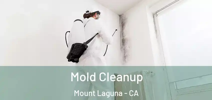 Mold Cleanup Mount Laguna - CA
