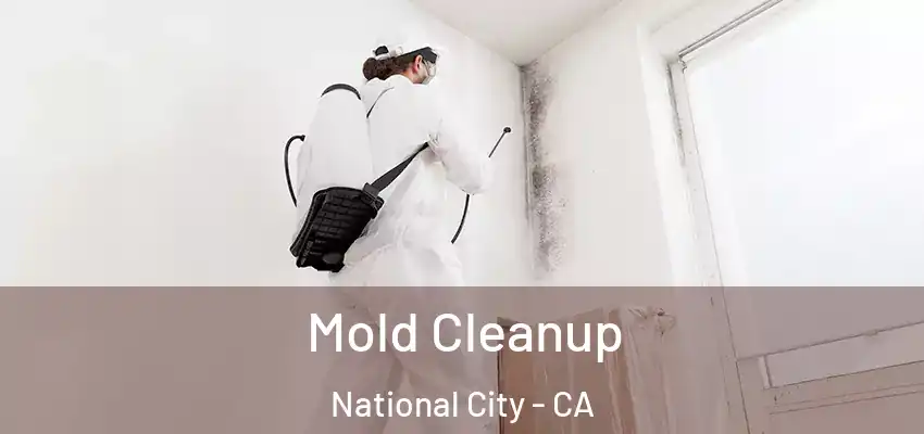  Mold Cleanup National City - CA