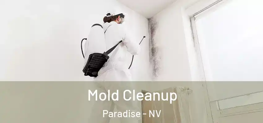  Mold Cleanup Paradise - NV