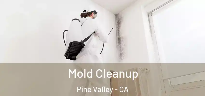  Mold Cleanup Pine Valley - CA