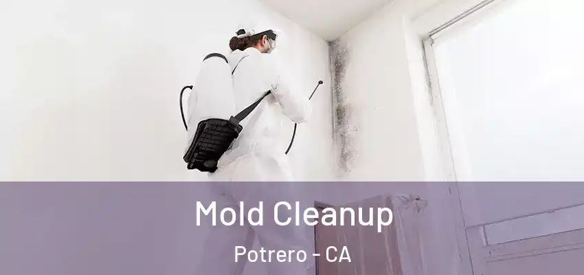  Mold Cleanup Potrero - CA