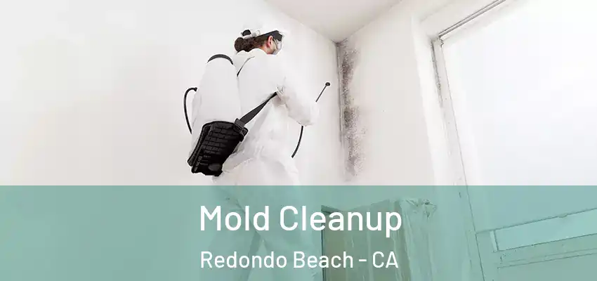 Mold Cleanup Redondo Beach - CA