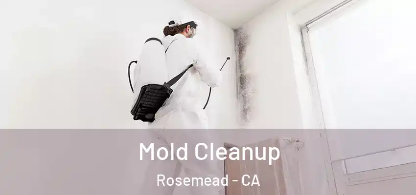 Mold Cleanup Rosemead - CA
