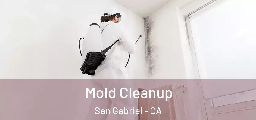  Mold Cleanup San Gabriel - CA