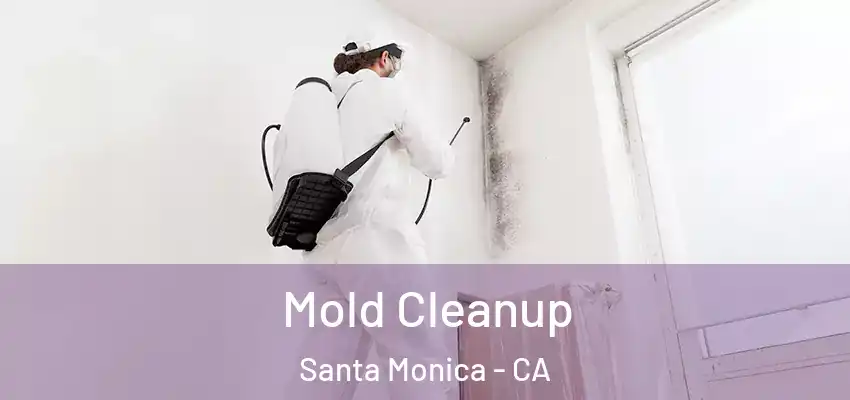  Mold Cleanup Santa Monica - CA