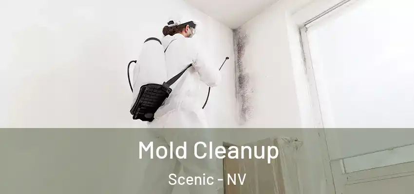  Mold Cleanup Scenic - NV