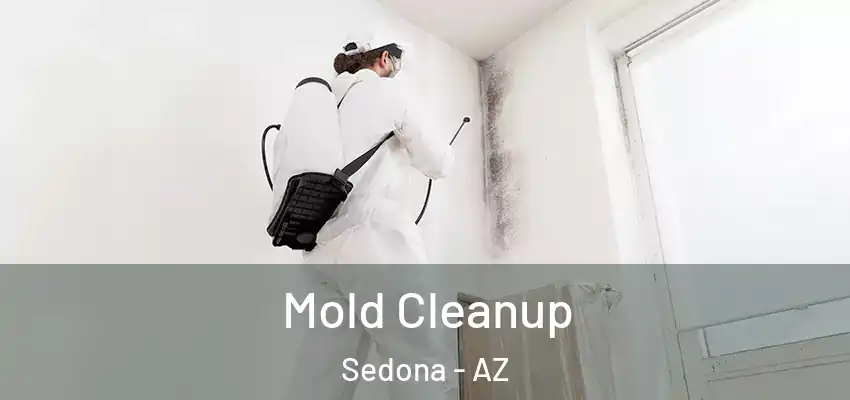  Mold Cleanup Sedona - AZ