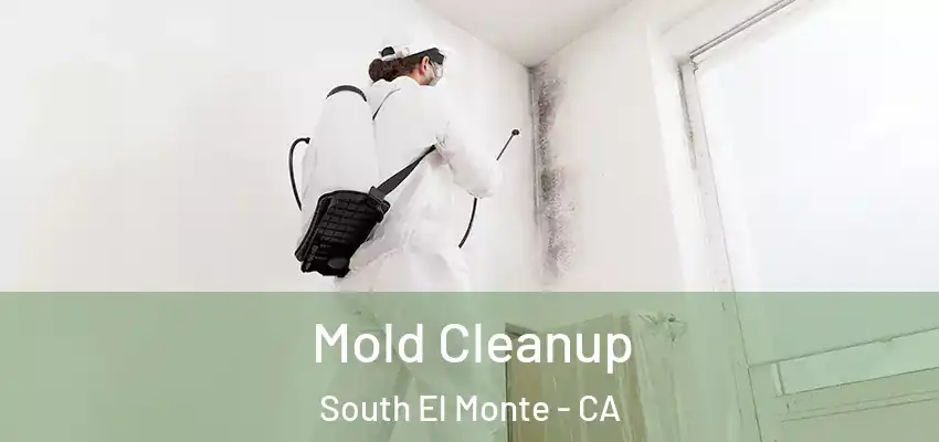  Mold Cleanup South El Monte - CA
