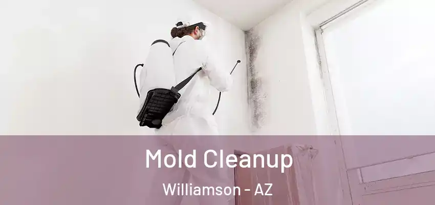  Mold Cleanup Williamson - AZ