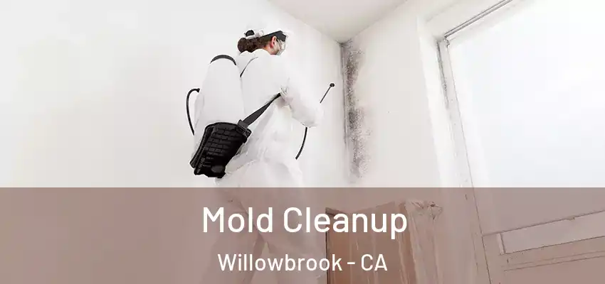  Mold Cleanup Willowbrook - CA