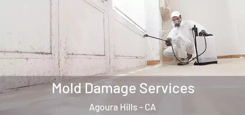  Mold Damage Services Agoura Hills - CA
