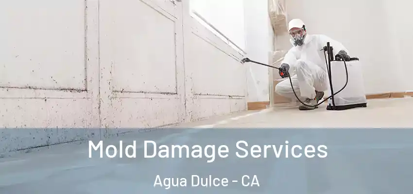  Mold Damage Services Agua Dulce - CA