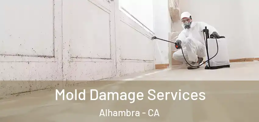  Mold Damage Services Alhambra - CA