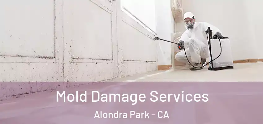 Mold Damage Services Alondra Park - CA