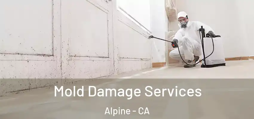  Mold Damage Services Alpine - CA