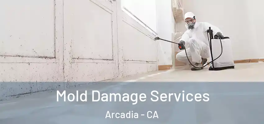  Mold Damage Services Arcadia - CA