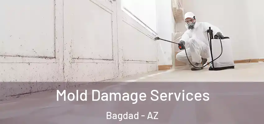  Mold Damage Services Bagdad - AZ