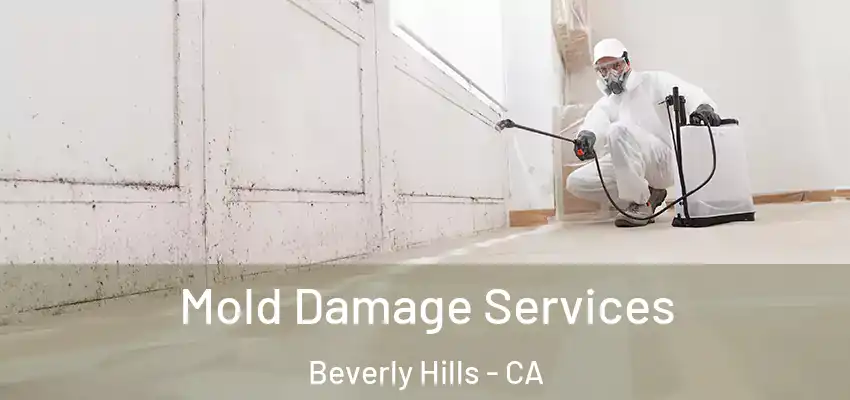  Mold Damage Services Beverly Hills - CA