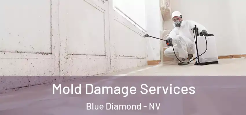  Mold Damage Services Blue Diamond - NV