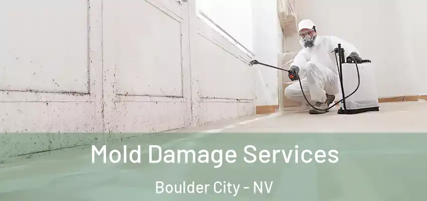  Mold Damage Services Boulder City - NV