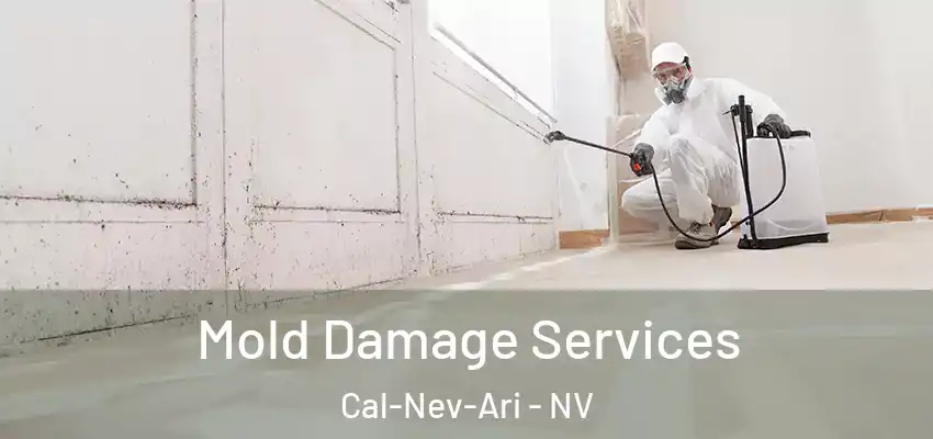  Mold Damage Services Cal-Nev-Ari - NV
