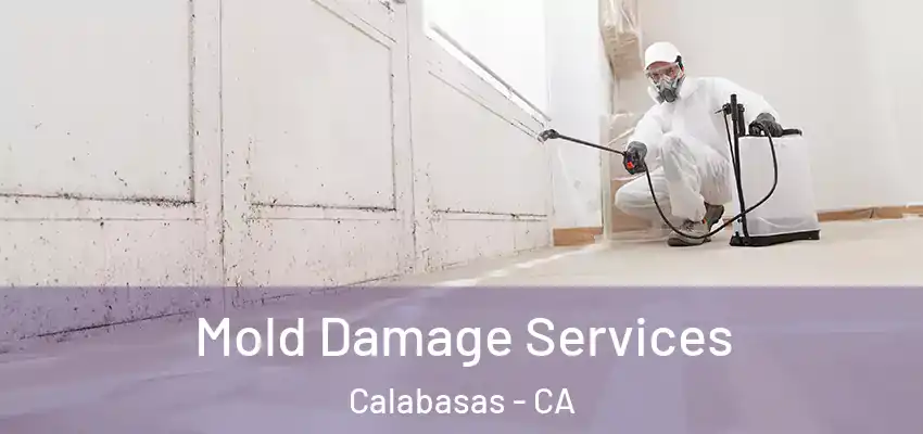  Mold Damage Services Calabasas - CA