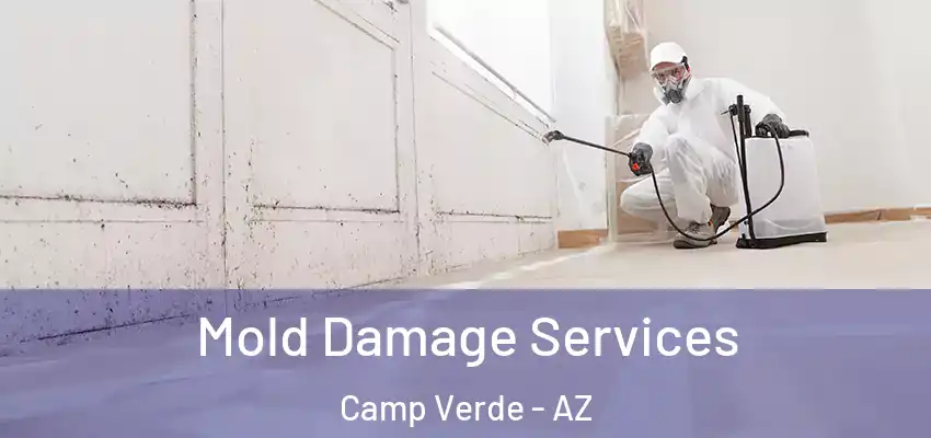  Mold Damage Services Camp Verde - AZ