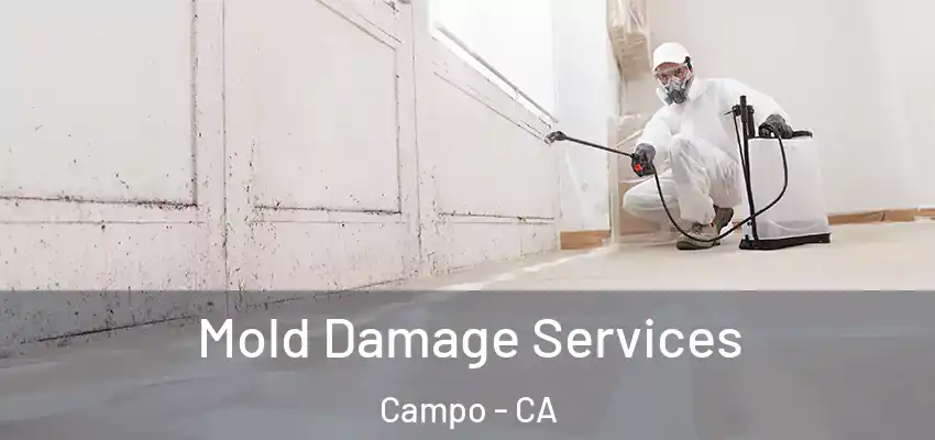 Mold Damage Services Campo - CA