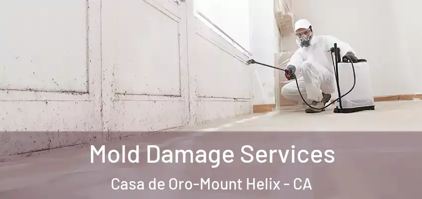  Mold Damage Services Casa de Oro-Mount Helix - CA