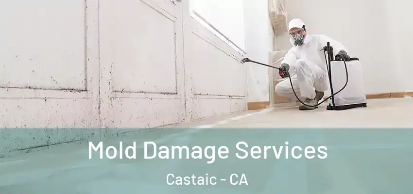  Mold Damage Services Castaic - CA
