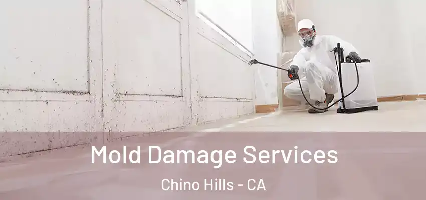  Mold Damage Services Chino Hills - CA