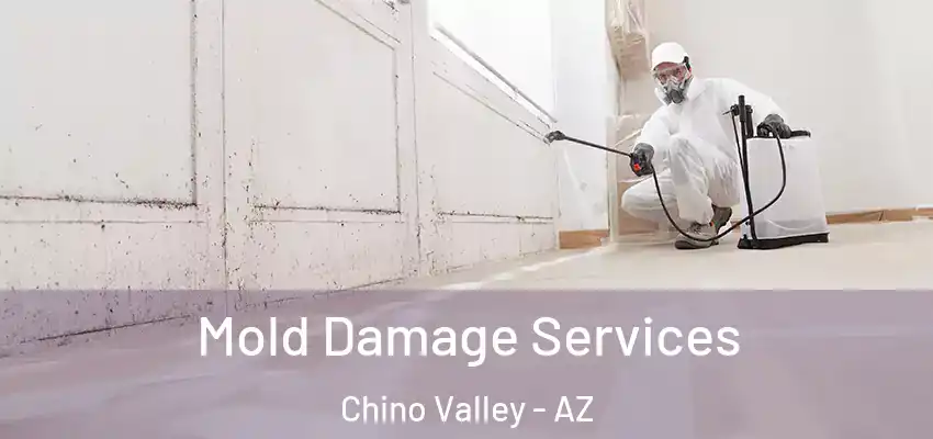  Mold Damage Services Chino Valley - AZ