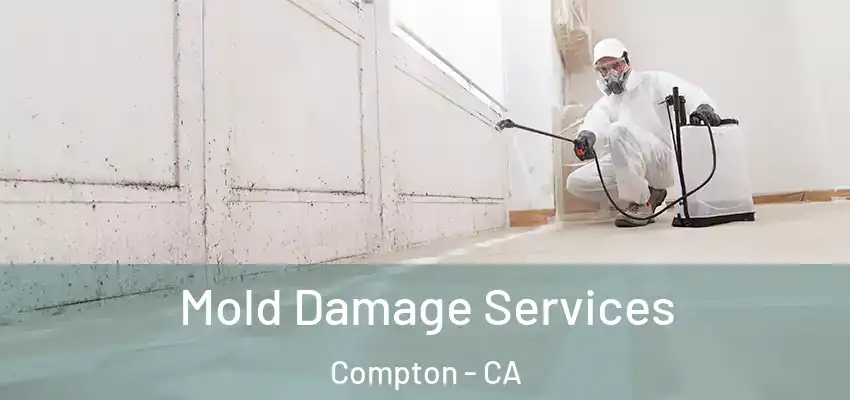  Mold Damage Services Compton - CA