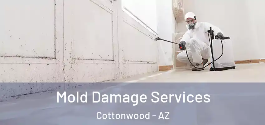  Mold Damage Services Cottonwood - AZ