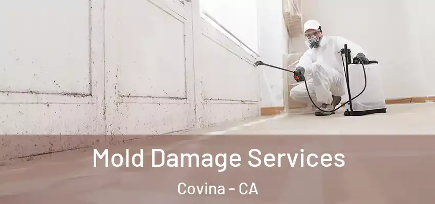  Mold Damage Services Covina - CA